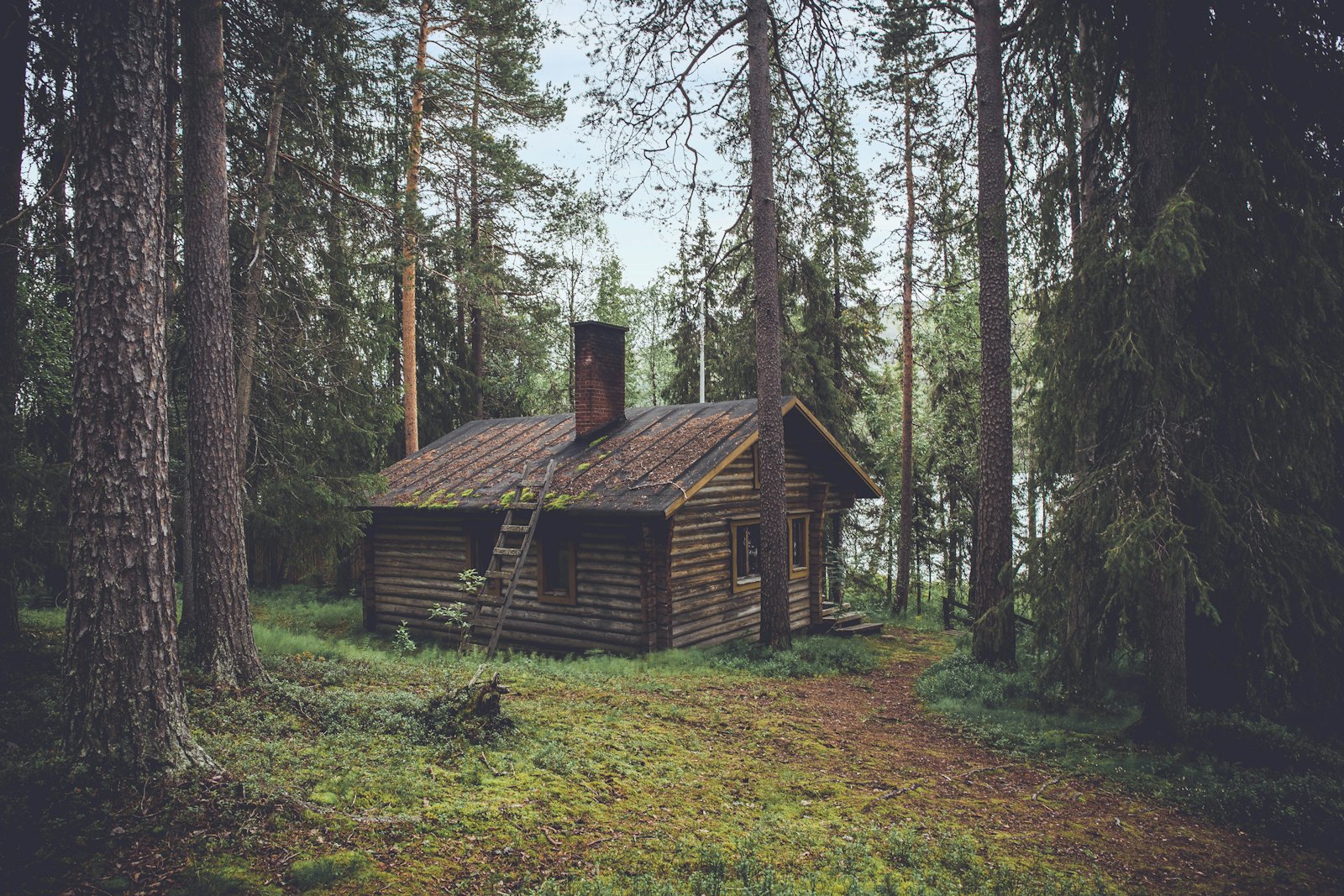 Cabin